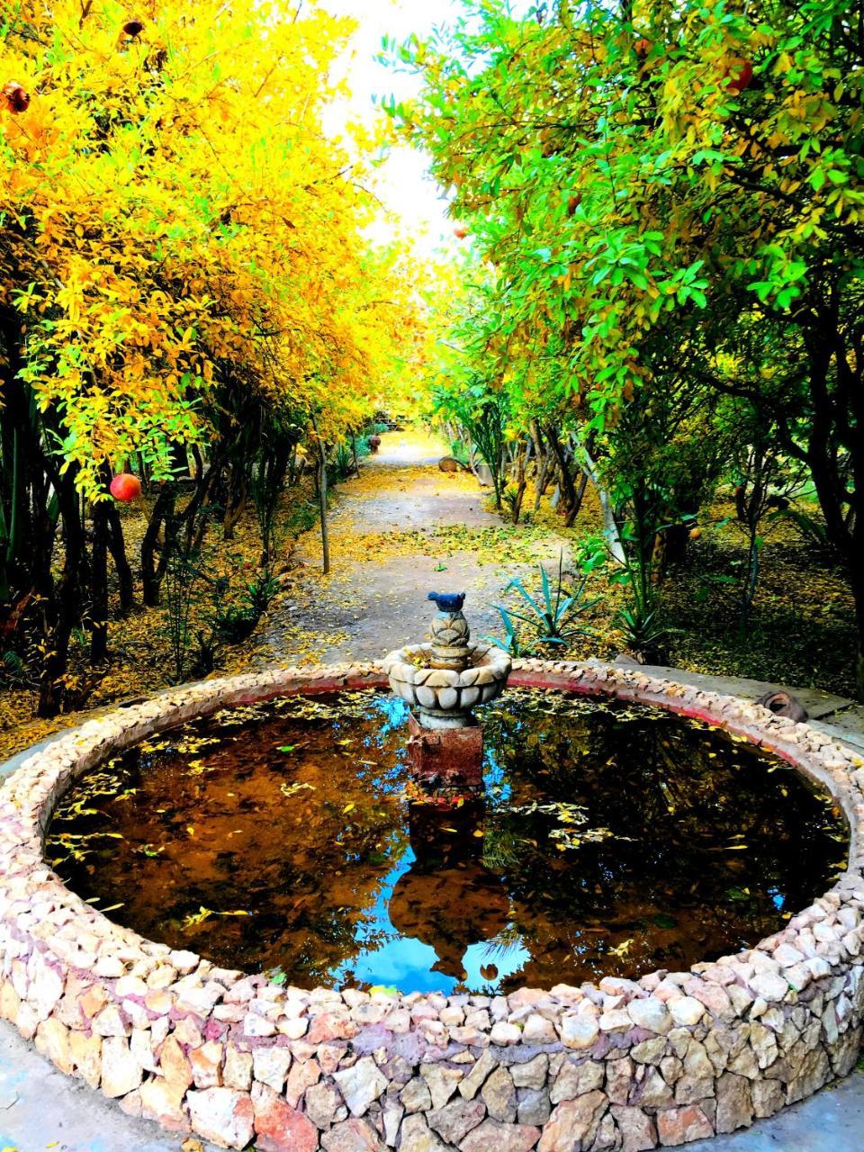 Kasbah Tiriguioute Hotel Скура Екстериор снимка