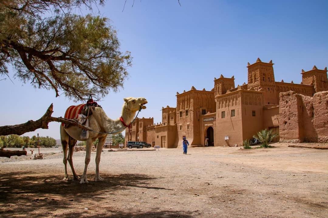 Kasbah Tiriguioute Hotel Скура Екстериор снимка