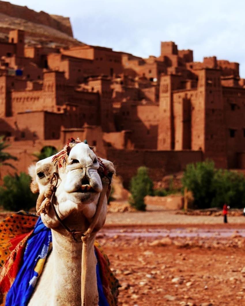 Kasbah Tiriguioute Hotel Скура Екстериор снимка